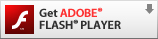 plugin de flash